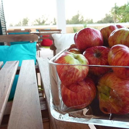 Casal Das Oliveiras Setubal Bagian luar foto