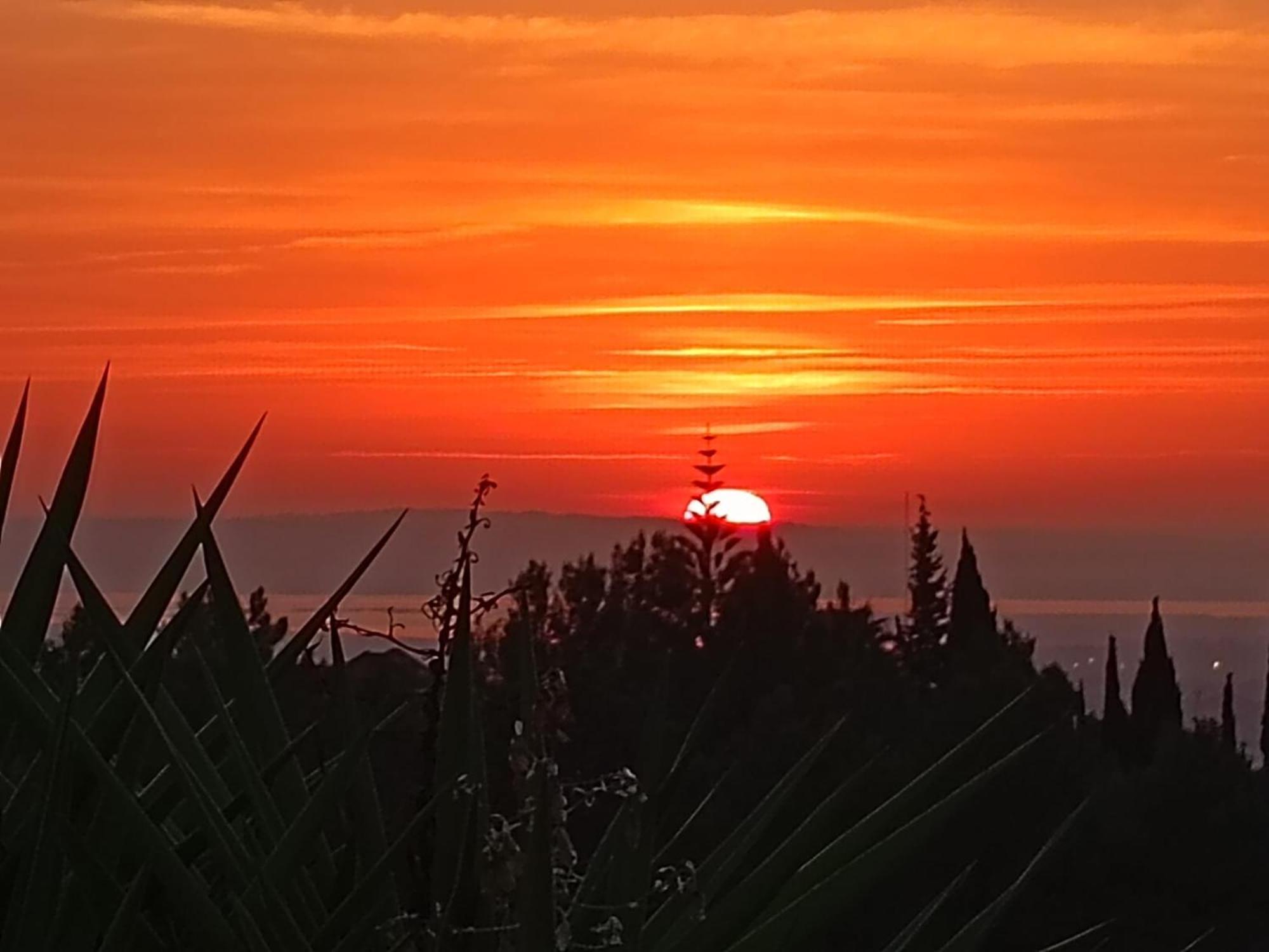Casal Das Oliveiras Setubal Bagian luar foto