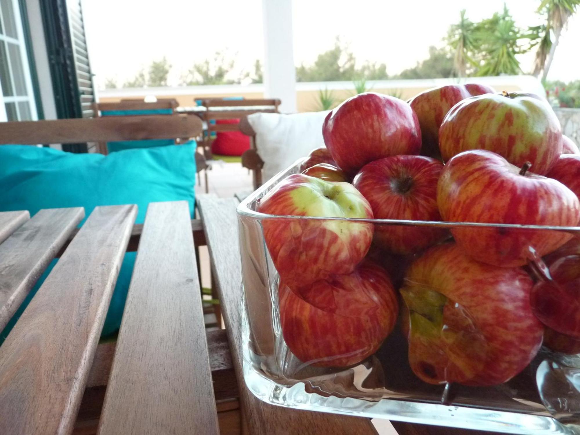 Casal Das Oliveiras Setubal Bagian luar foto