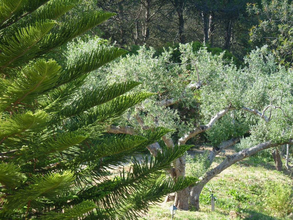 Casal Das Oliveiras Setubal Bagian luar foto