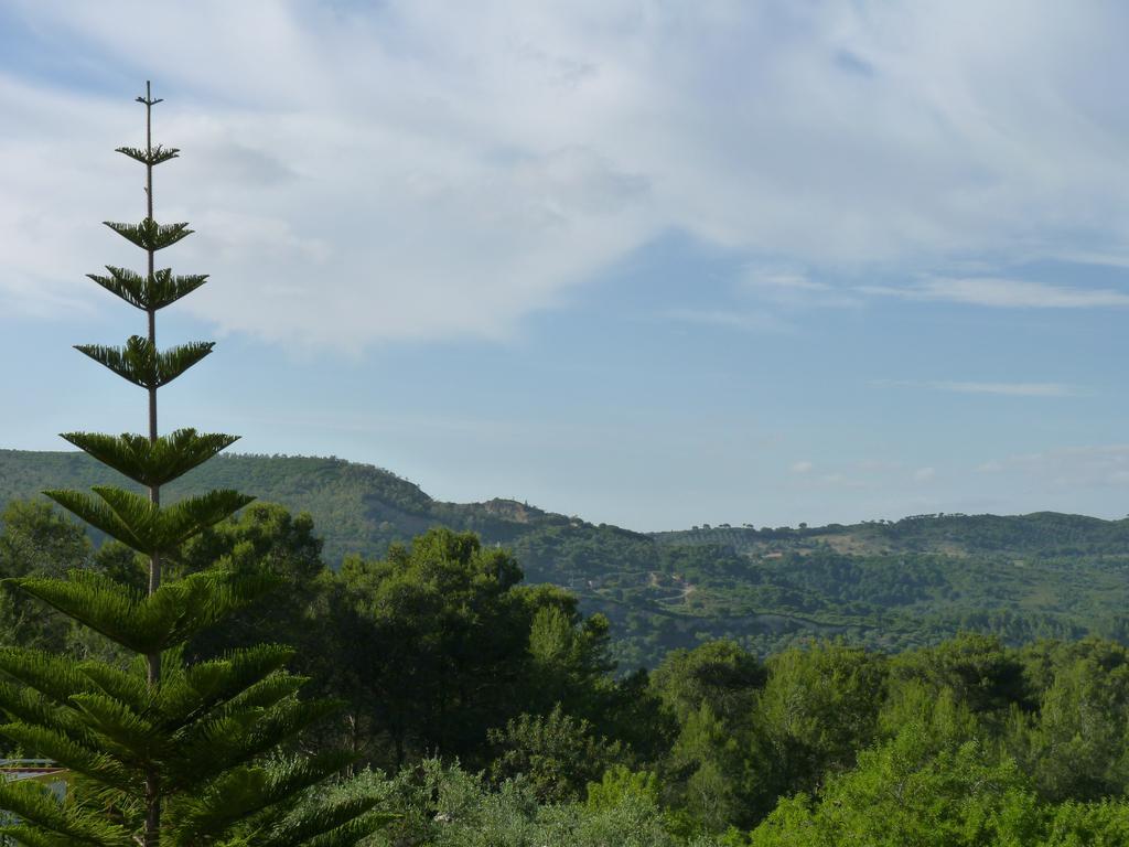 Casal Das Oliveiras Setubal Bagian luar foto