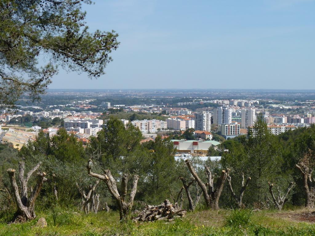 Casal Das Oliveiras Setubal Bagian luar foto